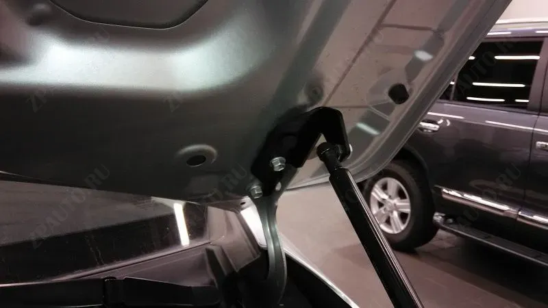 Упоры капота Toyota Corolla 2013-E15 (Тойота Королла 2013), Атлант UP 2896