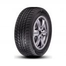 Шины зимние R13 155/70 75T ROADX RXFROST WH01