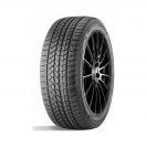 Шины зимние R20 245/45 103T Doublestar DW02