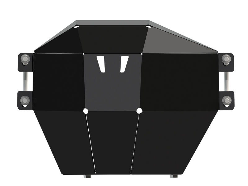 Защита дифференциала для FORD F-150 Raptor  2017 -, V-3,5 AT FullWD, Sheriff, сталь 3 мм, арт. 08.4876