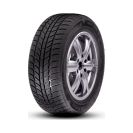 Шины зимние R15 185/65 92T XL ROADX RXFROST WH01