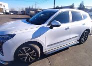 Пороги с накладным листом для автомобиля Haval Jolion 2024 арт. HVJ.24.41