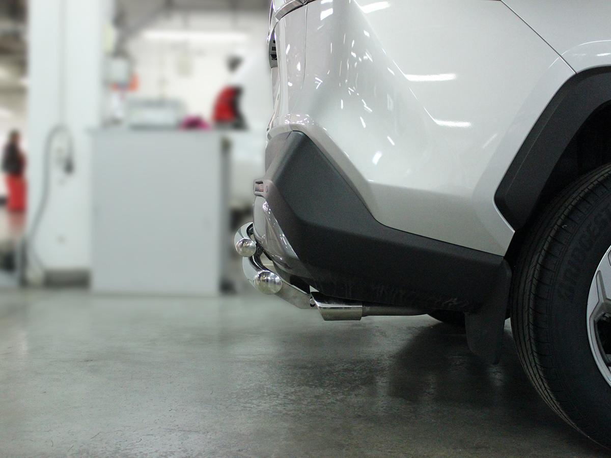 Защита заднего бампера радиусная двойная d-60+53 для автомобиля Toyota RAV4 2019 арт. TRN19_3, Технотек