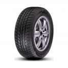 Шины зимние R16 195/55 87V ROADX RXFROST WH01