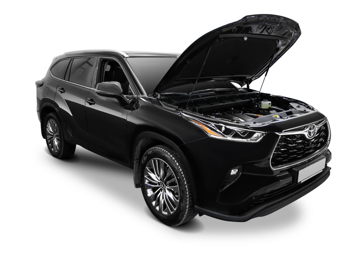 Амортизаторы капота АвтоУПОР (2 шт.) Toyota Highlander (2020-), Rival, арт. UTOHIG021